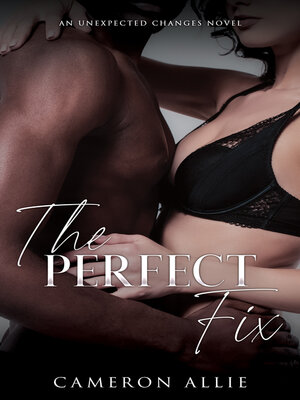cover image of The Perfect Fix